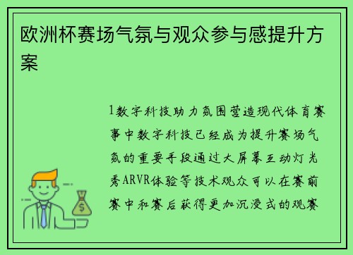 欧洲杯赛场气氛与观众参与感提升方案